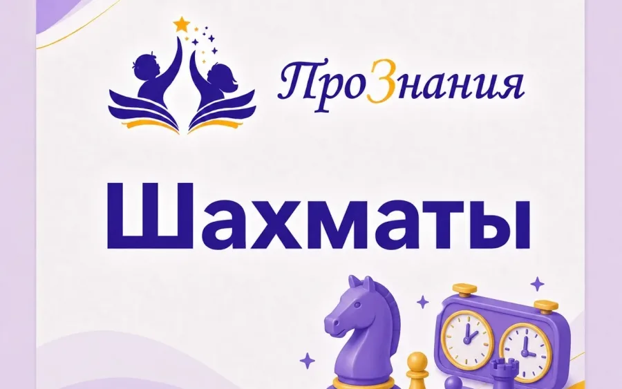 Шахматы
